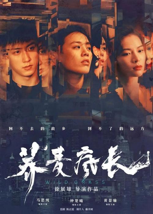 密歇根州结婚证假的多少钱